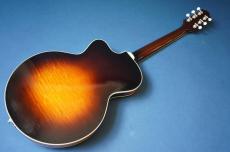 Stringphonic LeRoy SA-D_2
