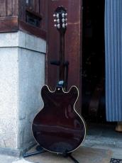 Epiphone '91 CASINO_2