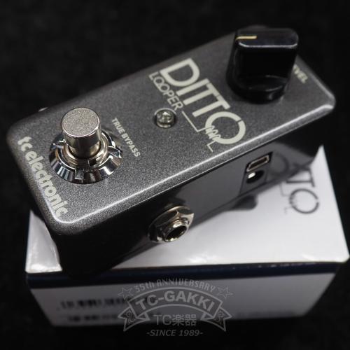 t.c. electronic DITTO LOOPER