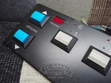 ROCKMAN MIDIPEDAL_2
