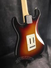 FUJIGEN(FGN) 2024 NST110RAL Sunburst_8