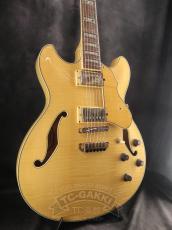 Ibanez 2007 AS103-NT_5