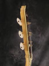 Ibanez 2007 AS103-NT_8