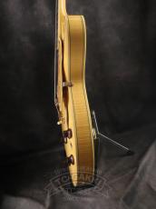 Ibanez 2007 AS103-NT_9