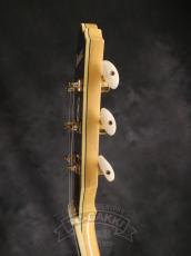 Ibanez 2007 AS103-NT_11
