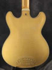 Ibanez 2007 AS103-NT_12
