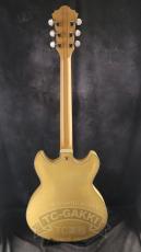 Ibanez 2007 AS103-NT_13