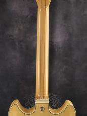 Ibanez 2007 AS103-NT_14
