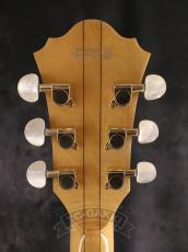Ibanez 2007 AS103-NT_15