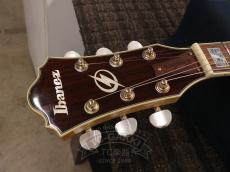 Ibanez 2007 AS103-NT_16