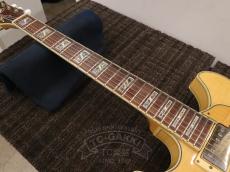 Ibanez 2007 AS103-NT_17