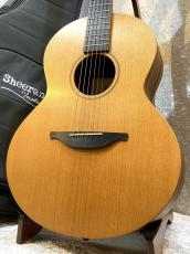 Sheeran by Lowden 【美品中古】 S-01【バックの杢目にご注目!!】【池袋在庫品】