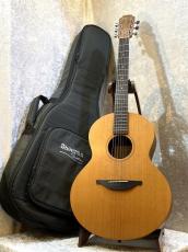 Sheeran by Lowden 【美品中古】 S-01【バックの杢目にご注目!!】【池袋在庫品】_2