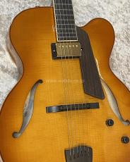 Sadowsky Jim Hall Model_6