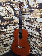 JOSE ORIBE ホセ・オリベ  1990年代 Classic 杉単板・ローズウッド 640mm【日本総本店2F 在庫品】