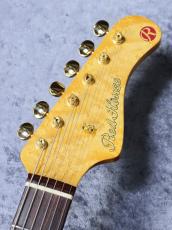 Red House General S/SSH Alder Birds Eye Maple Neck Medium Aged ~Sherwood Green~[特注品][約3.59Kg]_6
