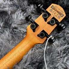 Ibanez AUC10E-OPN (Open Pore Natural) 【2025年NEWモデル】【エレクトリック・ウクレレ】_6