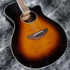 YAMAHA APX600 FM