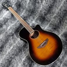 YAMAHA APX600 FM_2