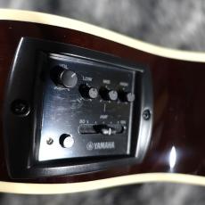 YAMAHA APX600 FM_3