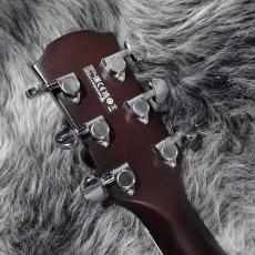 YAMAHA APX600 FM_8