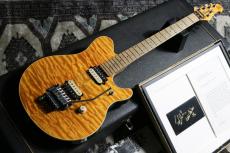 MUSIC MAN EVH Trans Gold 1993 Model w/ Terry Rogers Guitars Special Paperwork Document_2