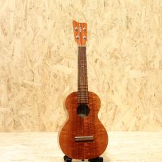 Kamaka HF-2 Concert 2015_3