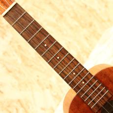 Kamaka HF-2 Concert 2015_6