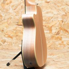 Maton PERFORMER_5