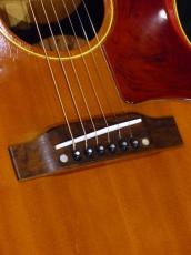 Gibson ’67 B-25_8
