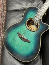 Gibson 【オールドヤマハ!】CWE-28