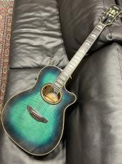 Gibson 【オールドヤマハ!】CWE-28_2