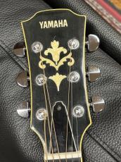 Gibson 【オールドヤマハ!】CWE-28_6