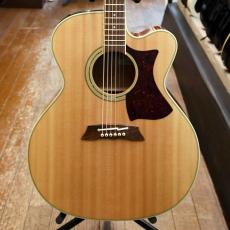 Takamine PTU-011