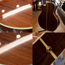Takamine PTU-011_4