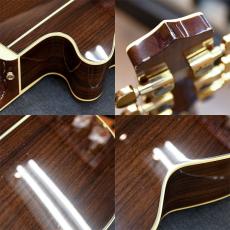 Takamine PTU541C_9