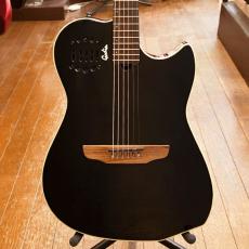 Godin Multiac Duet Steel