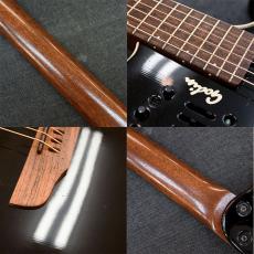 Godin Multiac Duet Steel_4