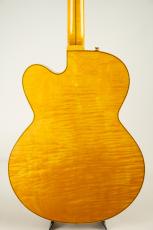 Rossi Guitars Gigfit Natural_9
