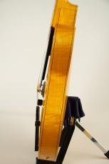 Rossi Guitars Gigfit Natural_10