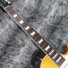 Tokai LS-101S GT_3