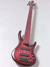 MTD Kingston AG6 / Andrew Gouché Signature【6弦】【重量4.26kg】_2