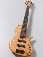 elrick Platinum Series e-volution 6st Single Cut【6弦】【重量4.76kg】【USED】_2