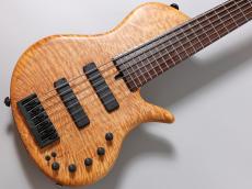 elrick Platinum Series e-volution 6st Single Cut【6弦】【重量4.76kg】【USED】_5