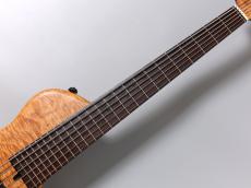 elrick Platinum Series e-volution 6st Single Cut【6弦】【重量4.76kg】【USED】_6