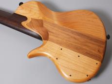 elrick Platinum Series e-volution 6st Single Cut【6弦】【重量4.76kg】【USED】_8