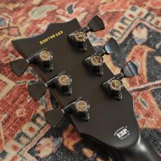 E-II EC QM FL See Thru Black Cherry Sunburst_11