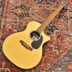 Martin GPC-X2E Cocobolo_2
