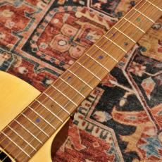 Martin GPC-X2E Cocobolo_8