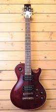 Charvel DS-3 ST/TR_2